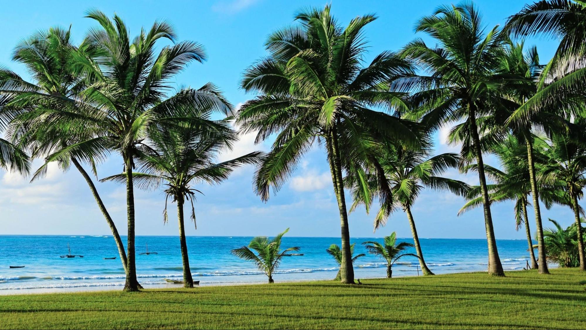 Diani-Destination