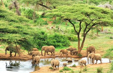 samburu_national_reserve_-christophe_cerisier-_istock-1829219311