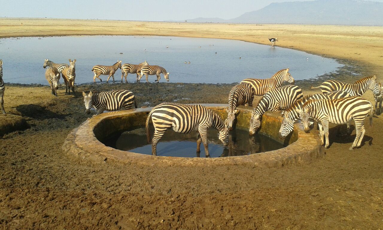 tsavo-east